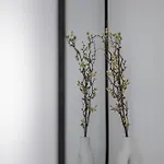 Spacious 4-story With Sauna & Garden * 프라하