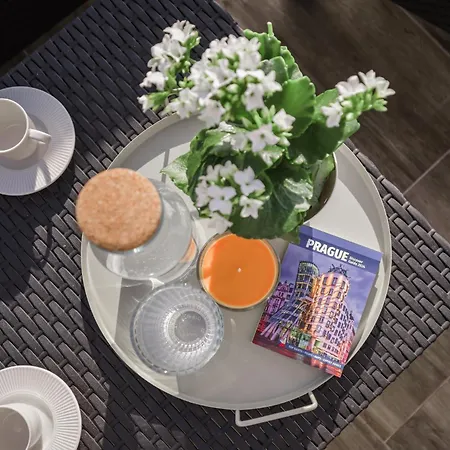 Semesterbostad Spacious 4-story With Sauna & Garden Prag