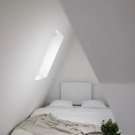Spacious 4-story With Sauna & Garden Prag